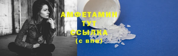 МДПВ Рославль