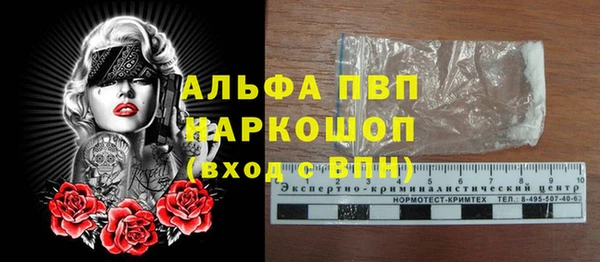 МДПВ Рославль