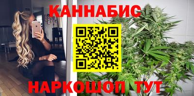 сатива Апшеронск