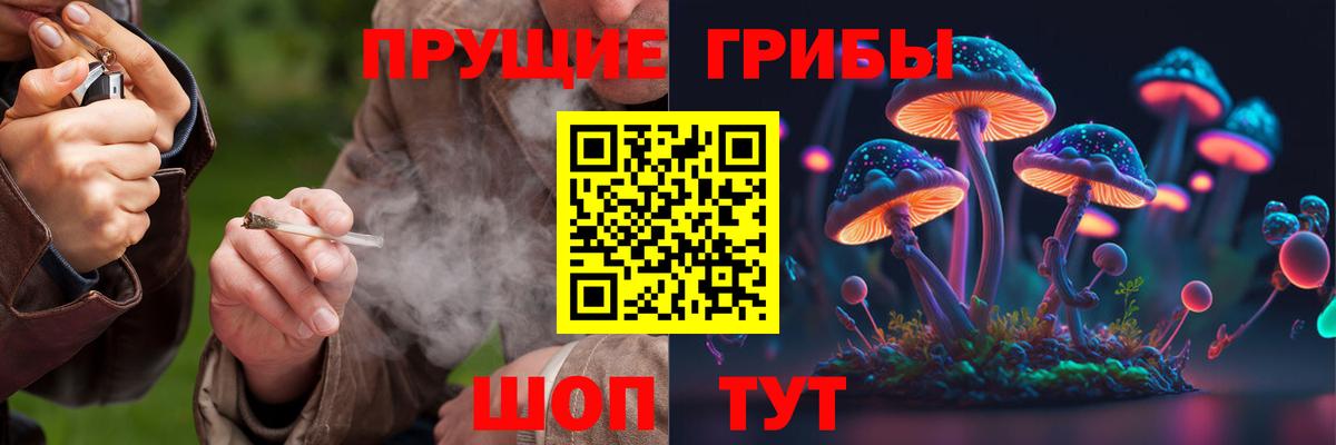 Галлюциногенные грибы Psilocybine cubensis  Галлюциногенные грибы мицелий  наркошоп  Орск  Вход с VPN 